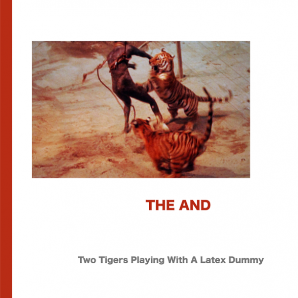 TWO TIGERS PLAYING WITH A LATEX DUMMY